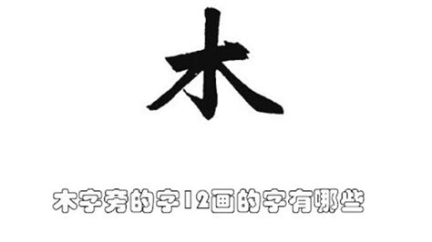 12画的字|12画的字